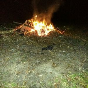 Meet your Posher, Shonda